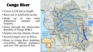 Congo River
• Covers 4,700 km in length.
• Basin size is 4,000,000 sq km.
• Made up of two main
tributaries: Lualaba and
Luapula.
• Flows through the Democratic
Republic of Congo (DRC).
• Empties into the Atlantic Ocean.
• Second longest river in Africa.
• Home to Congo River dolphins,
crocodiles, African manatees,
and over 700 species of fish.
 