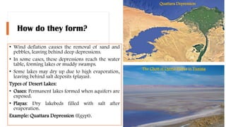 How do they form?
• Wind deflation causes the removal of sand and
pebbles, leaving behind deep depressions.
• In some cases, these depressions reach the water
table, forming lakes or muddy swamps.
• Some lakes may dry up due to high evaporation,
leaving behind salt deposits (playas).
Types of Desert Lakes:
• Oases: Permanent lakes formed when aquifers are
exposed.
• Playas: Dry lakebeds filled with salt after
evaporation.
Example: Quattara Depression (Egypt).
The Chott el Djerid Playas in Tunisia
Quattara Depression
 