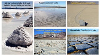 Sailing stone in Racetrack Playa
Playa in southwest Idaho
Devil's Golf Course in Death Valley
National Park,
Namak Lake, Qom Province, Iran
Salt harvesting in Salar de Uyuni,
Bolivia, the world's largest salt flat
 