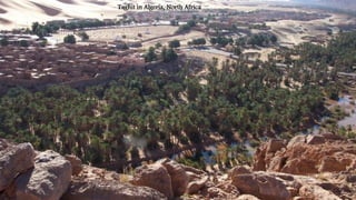 Taghit in Algeria, North Africa
 