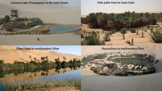 Huacachina in southwestern Peru
Crescent Lake (Yueyaquan) in the Gobi Desert Date palm trees in Liwa Oasis
Ubari Oasis in southwestern Libya
 