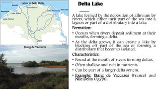 Delta Lake
A lake formed by the deposition of alluvium by
rivers, which either turn part of the sea into a
lagoon or part of a distributary into a lake.
Formation:
• Occurs when rivers deposit sediment at their
mouths, forming a delta.
• As the delta grows, it can create a lake by
blocking off part of the sea or forming a
distributary that becomes isolated.
Characteristics:
• Found at the mouth of rivers forming deltas.
• Often shallow and rich in nutrients.
• Can be part of a larger delta system.
• Example: Etang de Vaccares (France) and
Nile Delta (Egypt).
Etang de Vaccares
Lakes in Nile Delta
 