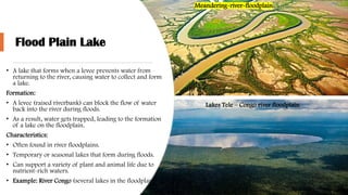 Flood Plain Lake
• A lake that forms when a levee prevents water from
returning to the river, causing water to collect and form
a lake.
Formation:
• A levee (raised riverbank) can block the flow of water
back into the river during floods.
• As a result, water gets trapped, leading to the formation
of a lake on the floodplain.
Characteristics:
• Often found in river floodplains.
• Temporary or seasonal lakes that form during floods.
• Can support a variety of plant and animal life due to
nutrient-rich waters.
• Example: River Congo (several lakes in the floodplain).
Lakes Tele – Congo river floodplain
Meandering-river-floodplain
 