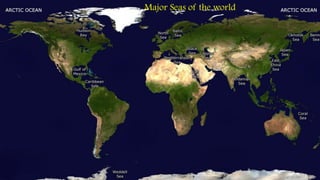Major Seas of the world
 