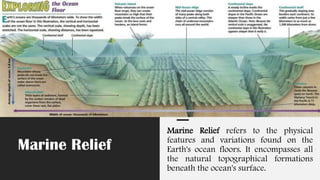 Marine Relief
Marine Relief refers to the physical
features and variations found on the
Earth's ocean floors. It encompasses all
the natural topographical formations
beneath the ocean's surface.
 
