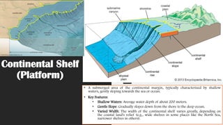 Continental Shelf
(Platform)
• A submerged area of the continental margin, typically characterized by shallow
waters, gently sloping towards the sea or ocean.
• Key Features:
• Shallow Waters: Average water depth of about 200 meters.
• Gentle Slope: Gradually slopes down from the shore to the deep ocean.
• Varied Width: The width of the continental shelf varies greatly, depending on
the coastal land's relief (e.g., wide shelves in some places like the North Sea,
narrower shelves in others).
 