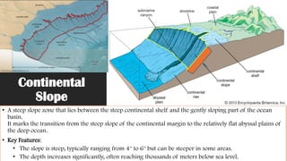 Continental
Slope
• A steep slope zone that lies between the steep continental shelf and the gently sloping part of the ocean
basin.
It marks the transition from the steep slope of the continental margin to the relatively flat abyssal plains of
the deep ocean.
• Key Features:
• The slope is steep, typically ranging from 4° to 6° but can be steeper in some areas.
• The depth increases significantly, often reaching thousands of meters below sea level.
 