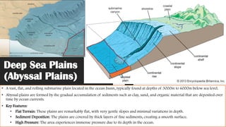 Deep Sea Plains
(Abyssal Plains)
• A vast, flat, and rolling submarine plain located in the ocean basin, typically found at depths of 3000m to 6000m below sea level.
• Abyssal plains are formed by the gradual accumulation of sediments such as clay, sand, and organic material that are deposited over
time by ocean currents.
• Key Features:
• Flat Terrain: These plains are remarkably flat, with very gentle slopes and minimal variations in depth.
• Sediment Deposition: The plains are covered by thick layers of fine sediments, creating a smooth surface.
• High Pressure: The area experiences immense pressure due to its depth in the ocean.
 
