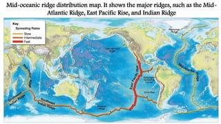 Mid-oceanic ridge distribution map. It shows the major ridges, such as the Mid-
Atlantic Ridge, East Pacific Rise, and Indian Ridge
 