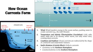 How Ocean
Currents Form
1. Wind: Wind transfers energy to the ocean surface, pushing water to
create currents (e.g., the Gulf Stream).
2. Temperature and Salinity (Thermohaline Circulation): Cold, salty
water sinks due to its density, while warm, less salty water rises,
creating deep currents.
3. Coastlines and Seafloor: Ocean currents are redirected by the shape
of continents and underwater features.
4. Earth's Rotation (Coriolis Effect): Deflects currents:
• Clockwise in the Northern Hemisphere.
• Counterclockwise in the Southern Hemisphere.
 