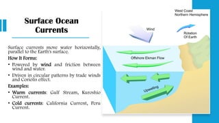 Surface Ocean
Currents
Surface currents move water horizontally,
parallel to the Earth's surface.
How It Forms:
• Powered by wind and friction between
wind and water.
• Driven in circular patterns by trade winds
and Coriolis effect.
Examples:
• Warm currents: Gulf Stream, Kuroshio
Current.
• Cold currents: California Current, Peru
Current.
 