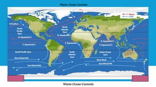 Warm Ocean Currents
Warm Ocean Currents
 