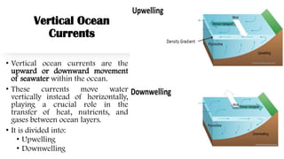 Vertical Ocean
Currents
• Vertical ocean currents are the
upward or downward movement
of seawater within the ocean.
• These currents move water
vertically instead of horizontally,
playing a crucial role in the
transfer of heat, nutrients, and
gases between ocean layers.
• It is divided into:
• Upwelling
• Downwelling
 