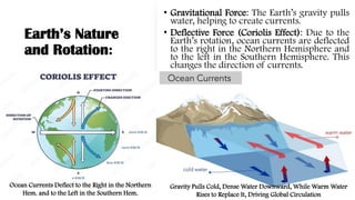 Earth’s Nature
and Rotation:
• Gravitational Force: The Earth’s gravity pulls
water, helping to create currents.
• Deflective Force (Coriolis Effect): Due to the
Earth’s rotation, ocean currents are deflected
to the right in the Northern Hemisphere and
to the left in the Southern Hemisphere. This
changes the direction of currents.
Gravity Pulls Cold, Dense Water Downward, While Warm Water
Rises to Replace It, Driving Global Circulation
Ocean Currents Deflect to the Right in the Northern
Hem. and to the Left in the Southern Hem.
 