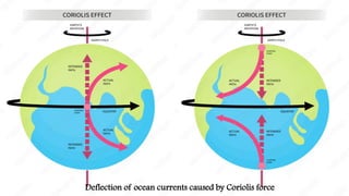 Deflection of ocean currents caused by Coriolis force
 