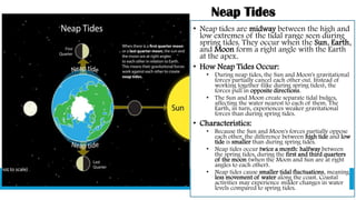 Neap Tides
• Neap tides are midway between the high and
low extremes of the tidal range seen during
spring tides. They occur when the Sun, Earth,
and Moon form a right angle with the Earth
at the apex.
• How Neap Tides Occur:
• During neap tides, the Sun and Moon's gravitational
forces partially cancel each other out. Instead of
working together (like during spring tides), the
forces pull in opposite directions.
• The Sun and Moon create separate tidal bulges,
affecting the water nearest to each of them. The
Earth, in turn, experiences weaker gravitational
forces than during spring tides.
• Characteristics:
• Because the Sun and Moon's forces partially oppose
each other, the difference between high tide and low
tide is smaller than during spring tides.
• Neap tides occur twice a month: halfway between
the spring tides, during the first and third quarters
of the moon (when the Moon and Sun are at right
angles to each other).
• Neap tides cause smaller tidal fluctuations, meaning
less movement of water along the coast. Coastal
activities may experience milder changes in water
levels compared to spring tides.
 