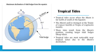Tropical Tides
• Tropical tides occur when the Moon is
far north or south of the Equator.
• The Moon's pull is strongest at the Tropic
of Cancer (north) or Tropic of Capricorn
(south).
• These tides result from the Moon's
position, creating larger tidal bulges
(Neap tides).
• Tropical tides are most noticeable near
tropical zones due to the Moon’s
declination.
Maximum declination of tidal bulges from the equator.
 