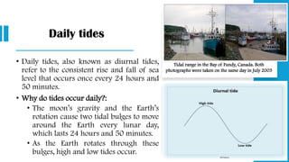 Daily tides
• Daily tides, also known as diurnal tides,
refer to the consistent rise and fall of sea
level that occurs once every 24 hours and
50 minutes.
• Why do tides occur daily?:
• The moon’s gravity and the Earth’s
rotation cause two tidal bulges to move
around the Earth every lunar day,
which lasts 24 hours and 50 minutes.
• As the Earth rotates through these
bulges, high and low tides occur.
Tidal range in the Bay of Fundy, Canada. Both
photographs were taken on the same day in July 2003
 