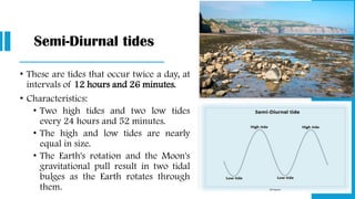 Semi-Diurnal tides
• These are tides that occur twice a day, at
intervals of 12 hours and 26 minutes.
• Characteristics:
• Two high tides and two low tides
every 24 hours and 52 minutes.
• The high and low tides are nearly
equal in size.
• The Earth's rotation and the Moon's
gravitational pull result in two tidal
bulges as the Earth rotates through
them.
 