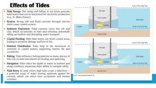 Effects of Tides
• Tidal Energy: The rising and falling of sea levels generate
tidal waves that can be harnessed for electricity production
(e.g., St. Malo, France).
• Erosion: Strong ebb and flood currents through narrow
inlets cause coastal erosion.
• Sediment Deposition: Tidal currents carry fine silt and
clay, which accumulate in bays and estuaries, potentially
silting up harbors and disrupting water transport.
• Coastal Flooding: High tidal waves can flood coastal areas,
leading to property damage and loss of life.
• Nutrient Distribution: Tides help in the movement of
nutrients in coastal waters, supporting marine life and
ecosystems.
• Fishing: Tides influence fishing patterns as many species of
fish rely on tidal movements for feeding and spawning.
• Navigation: Tides affect the depth of water in harbors and
along coastlines, impacting ships' ability to navigate safely.
• Tidal Bores: In some rivers, high tides create a tidal bore—
a powerful surge of water moving upstream against the
current, which can affect river ecosystems and human
activities.
 