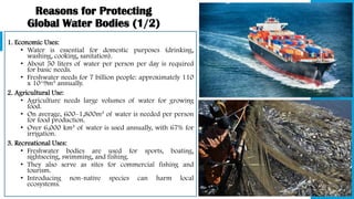 Reasons for Protecting
Global Water Bodies (1/2)
1. Economic Uses:
• Water is essential for domestic purposes (drinking,
washing, cooking, sanitation).
• About 50 liters of water per person per day is required
for basic needs.
• Freshwater needs for 7 billion people: approximately 110
x 10^9m³ annually.
2. Agricultural Use:
• Agriculture needs large volumes of water for growing
food.
• On average, 600–1,800m³ of water is needed per person
for food production.
• Over 6,000 km³ of water is used annually, with 67% for
irrigation.
3. Recreational Uses:
• Freshwater bodies are used for sports, boating,
sightseeing, swimming, and fishing.
• They also serve as sites for commercial fishing and
tourism.
• Introducing non-native species can harm local
ecosystems.
 