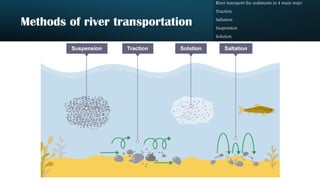 Methods of river transportation
River transport the sediments in 4 main ways
Traction
Saltation
Suspension
Solution
 