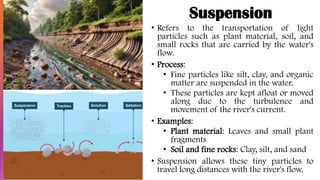 Suspension
• Refers to the transportation of light
particles such as plant material, soil, and
small rocks that are carried by the water's
flow.
• Process:
• Fine particles like silt, clay, and organic
matter are suspended in the water.
• These particles are kept afloat or moved
along due to the turbulence and
movement of the river's current.
• Examples:
• Plant material: Leaves and small plant
fragments
• Soil and fine rocks: Clay, silt, and sand
• Suspension allows these tiny particles to
travel long distances with the river's flow.
 
