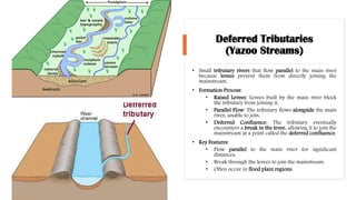 Deferred Tributaries
(Yazoo Streams)
• Small tributary rivers that flow parallel to the main river
because levees prevent them from directly joining the
mainstream.
• Formation Process:
• Raised Levees: Levees built by the main river block
the tributary from joining it.
• Parallel Flow: The tributary flows alongside the main
river, unable to join.
• Deferred Confluence: The tributary eventually
encounters a break in the levee, allowing it to join the
mainstream at a point called the deferred confluence.
• Key Features:
• Flow parallel to the main river for significant
distances.
• Break through the levees to join the mainstream.
• Often occur in flood plain regions.
 