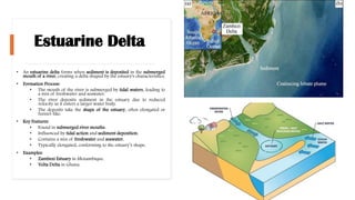 Estuarine Delta
• An estuarine delta forms when sediment is deposited in the submerged
mouth of a river, creating a delta shaped by the estuary's characteristics.
• Formation Process:
• The mouth of the river is submerged by tidal waters, leading to
a mix of freshwater and seawater.
• The river deposits sediment in the estuary due to reduced
velocity as it enters a larger water body.
• The deposits take the shape of the estuary, often elongated or
funnel-like.
• Key Features:
• Found in submerged river mouths.
• Influenced by tidal action and sediment deposition.
• Contains a mix of freshwater and seawater.
• Typically elongated, conforming to the estuary’s shape.
• Examples:
• Zambezi Estuary in Mozambique.
• Volta Delta in Ghana.
 