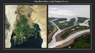 Omo River Delta on Lake Turkana (Kenya).
 