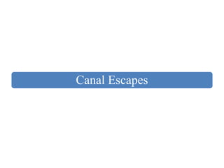 Canal Escapes
 