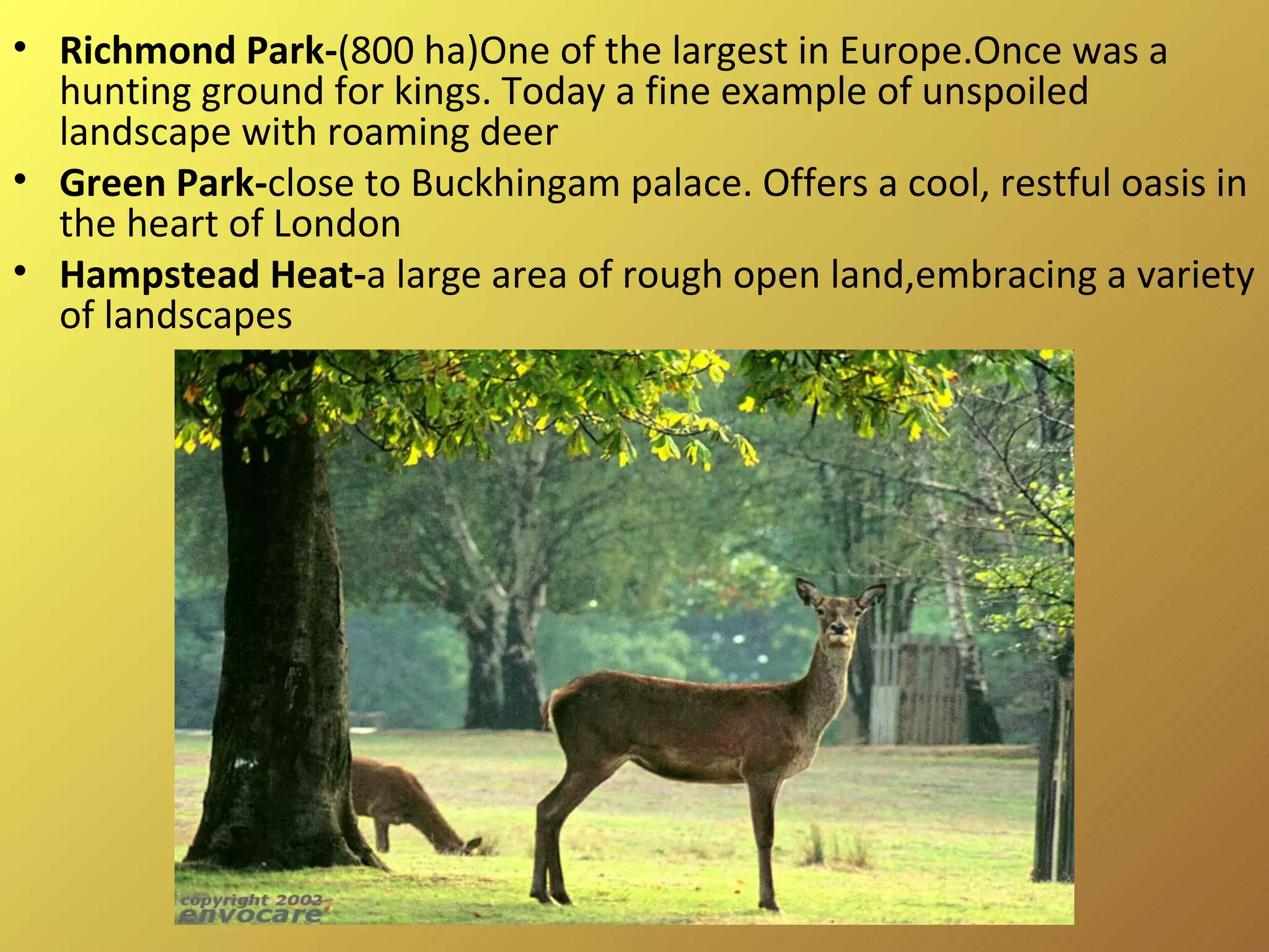 Richmond Park- (800 ha)One of the largest in Europe.Once was a hunting ground for kings. Today a fine example of unspoiled landscape with roaming deer Green Park- close to Buckhingam palace. Offers a cool, restful oasis in the heart of London Hampstead Heat- a large area of rough open land,embracing a variety of landscapes 