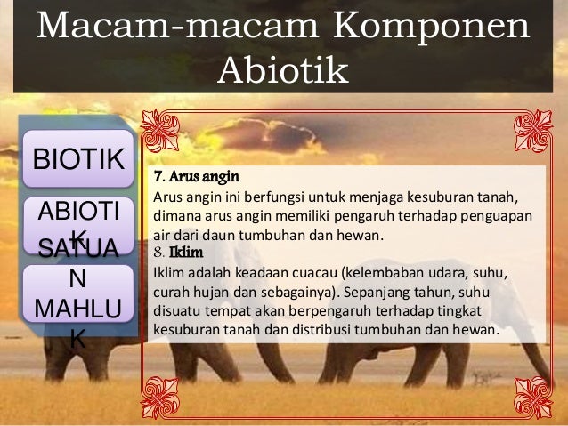 Biologi materi kelas 11 ipa ekosistem bab 9