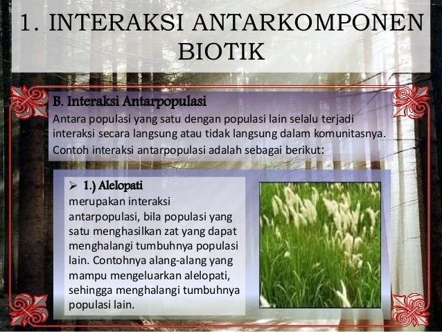 Biologi materi kelas 11 ipa ekosistem bab 9
