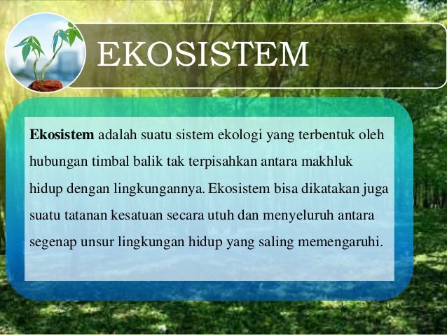 Biologi Materi Kelas 11 Ipa Ekosistem Bab 9
