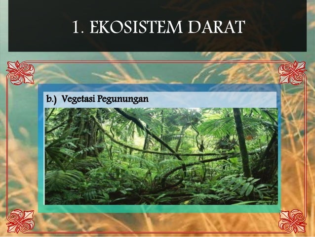 Contoh Ekosistem Monsun - Simak Gambar Berikut
