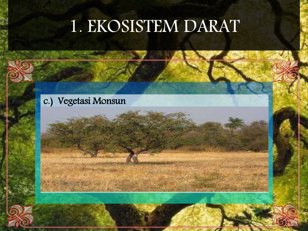 biologi materi kelas 11 ipa ekosistem bab 9