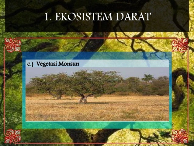 Contoh Ekosistem Monsun - Simak Gambar Berikut