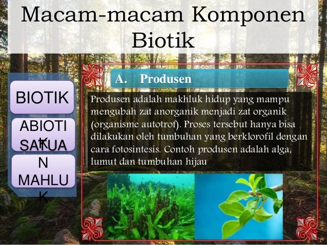 Biologi materi kelas 11 ipa ekosistem bab 9