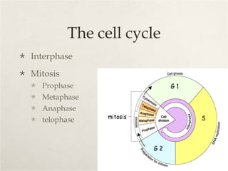 Unit 9, lesson 1 cell cycle mitosis | PPT