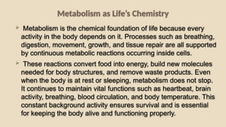 Comprehensive Introduction to Metabolism: Energy, ATP, Photosynthesis ...
