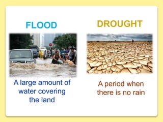 FLOOD DROUGHT
A large amount of
water covering
the land
A period when
there is no rain