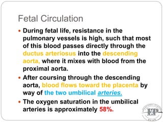 Fetal Circulation
 During fetal life, resistance in the
pulmonary vessels is high, such that most
of this blood passes directly through the
ductus arteriosus into the descending
aorta, where it mixes with blood from the
proximal aorta.
 After coursing through the descending
aorta, blood flows toward the placenta by
way of the two umbilical arteries.
 The oxygen saturation in the umbilical
arteries is approximately 58%.
 