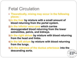 Fetal Circulation
 Theoretically, mixing may occur in the following
places :
1) In the liver by mixture with a small amount of
blood returning from the portal system.
2) In the inferior vena cava which carries
deoxygenated blood returning from the lower
extremities, pelvis, and kidneys.
3) In the right atrium by mixture with blood returning
from the head and limbs.
4) In the left atrium by mixture with blood returning
from the lungs.
5) At the entrance of the ductus arteriosus into the
descending aorta.
 