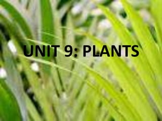 UNIT 9: PLANTS
 