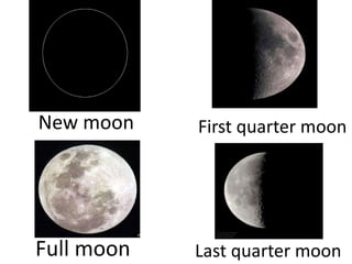 New moon First quarter moon
Full moon Last quarter moon
 
