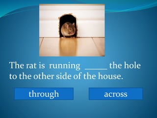 The rat is running _____ the hole
to the other side of the house.
through across
 