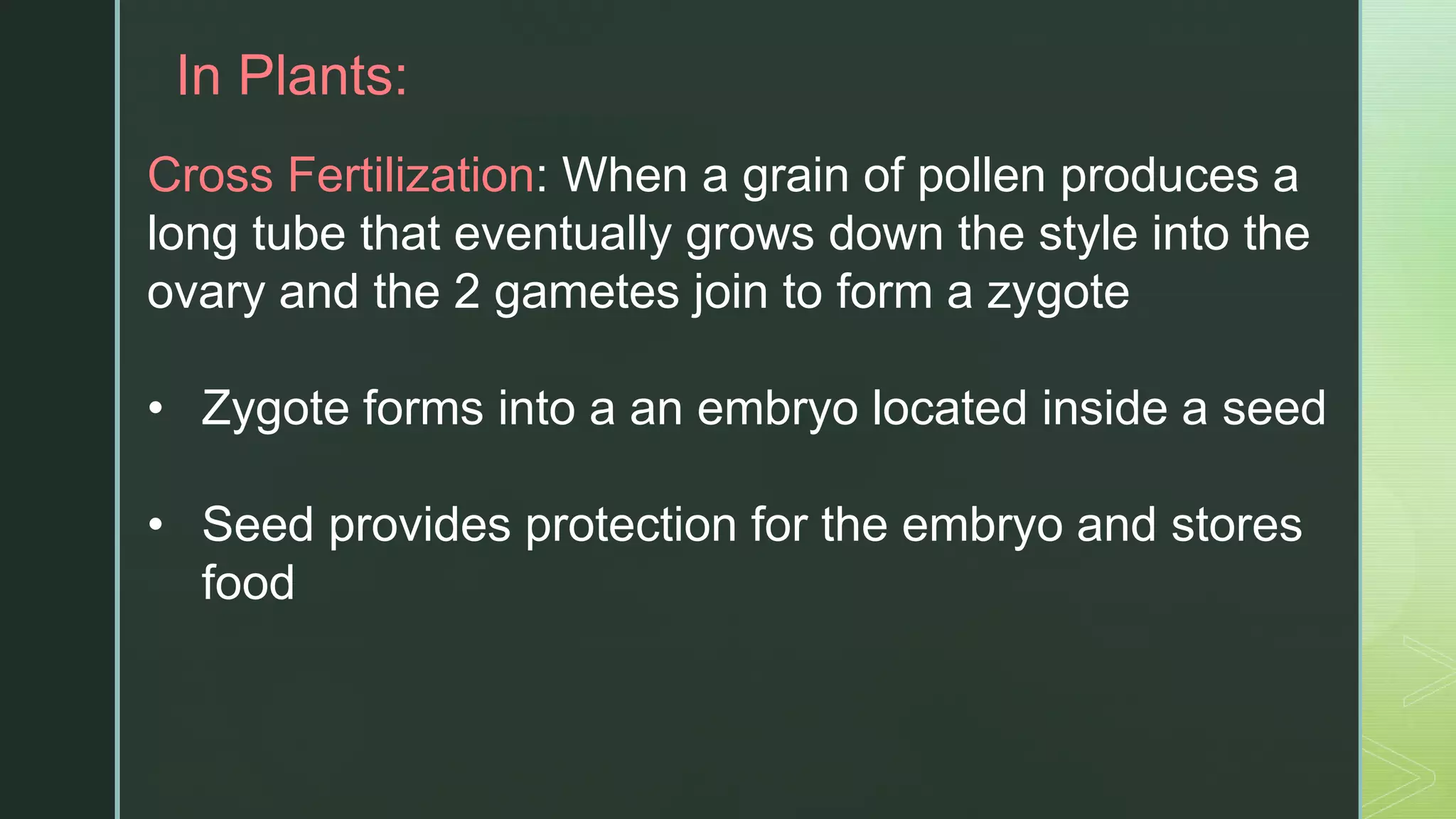 z
In Plants:
Cross Fertilization: When a grain of pollen produces a
long tube that eventually grows down the style into the
ovary and the 2 gametes join to form a zygote
• Zygote forms into a an embryo located inside a seed
• Seed provides protection for the embryo and stores
food
 
