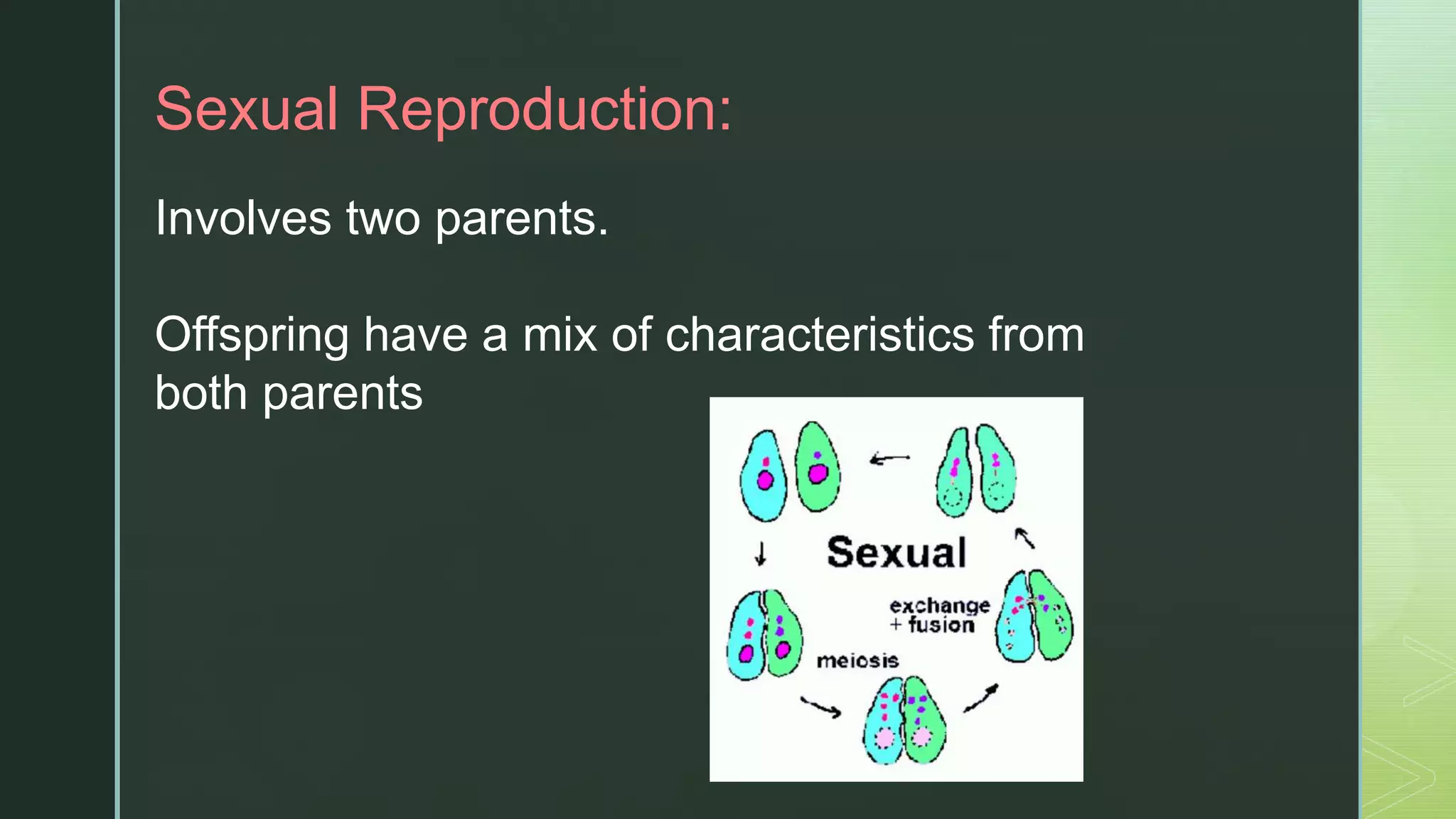 z
Sexual Reproduction:
Involves two parents.
Offspring have a mix of ​characteristics from
both ​parents
 