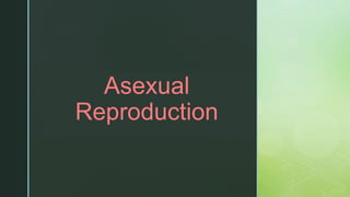 z
Asexual
Reproduction
 